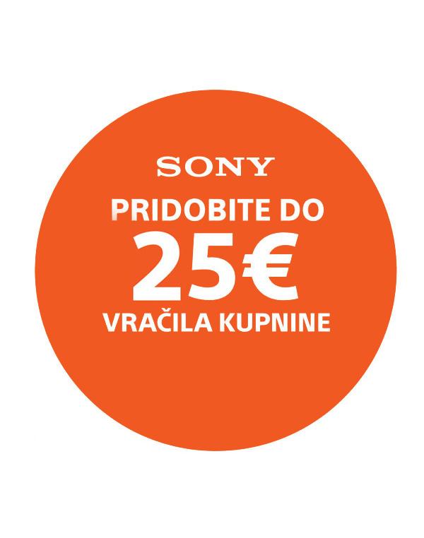 CEA-G240T Pomnilniška kartica CFexpress tipa A serije CEA-G