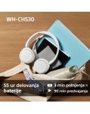 WH-CH530B Črne brezžične slušalke za odličen zvok